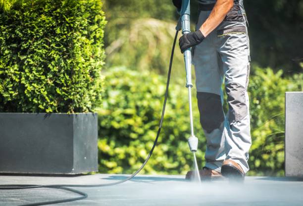 Best House Exterior Washing  in Albany, MN