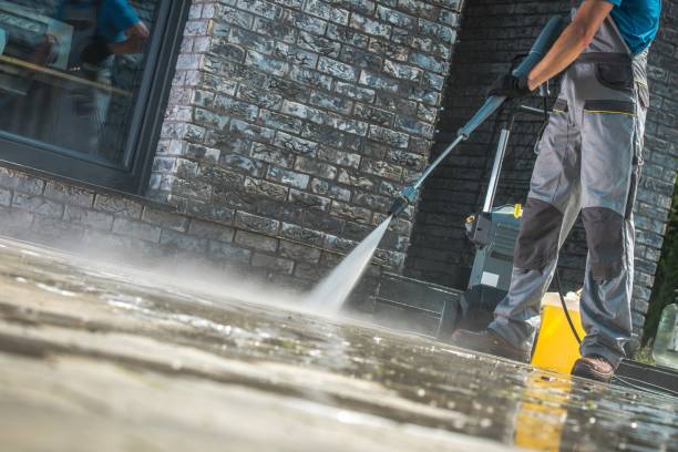 Best Building Exterior Washing  in Albany, MN